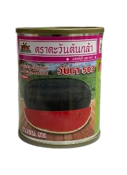 วันนา503แตงโมAV40G